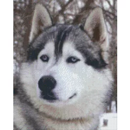   Pixel szett 9 normál alaplappal, színekkel, farkas (809032)