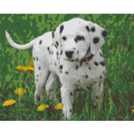 Pixel szett 9 normál alaplappal, színekkel, kutya, dalmata