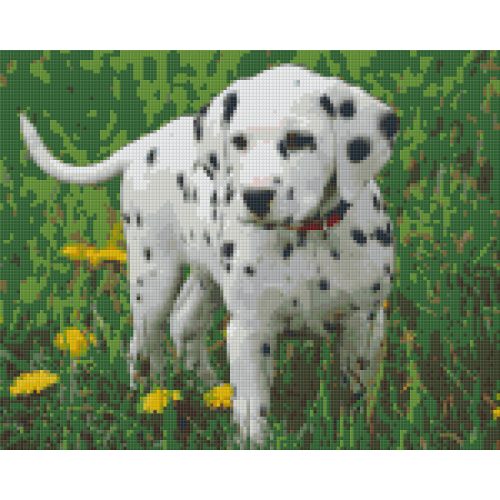 Pixel szett 9 normál alaplappal, színekkel, kutya, dalmata