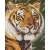 Pixel szett 9 normál alaplappal, színekkel, tigris (809377)