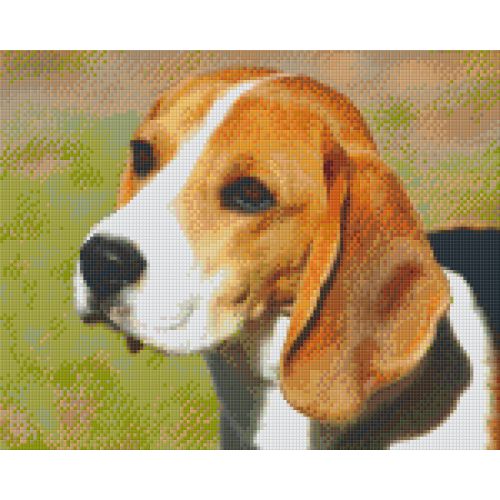 Pixel szett 9 normál alaplappal, színekkel, kutya, beagle