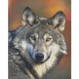 Pixel szett 16 normál alaplappal, színekkel, farkas