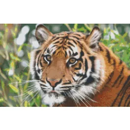Pixel szett 16 normál alaplappal, színekkel, tigris