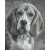 Pixel szett 36 normál alaplappal, színekkel, kutya, basset hound
