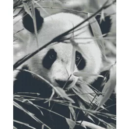 Pixel szett 36 normál alaplappal, színekkel, panda