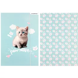   Cicás gumis mappa A/4, Starpak, kétféle, pawsitive (553545)