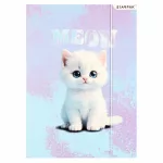 Cicás gumis mappa A/4, Starpak, Meow, kétféle (583297)